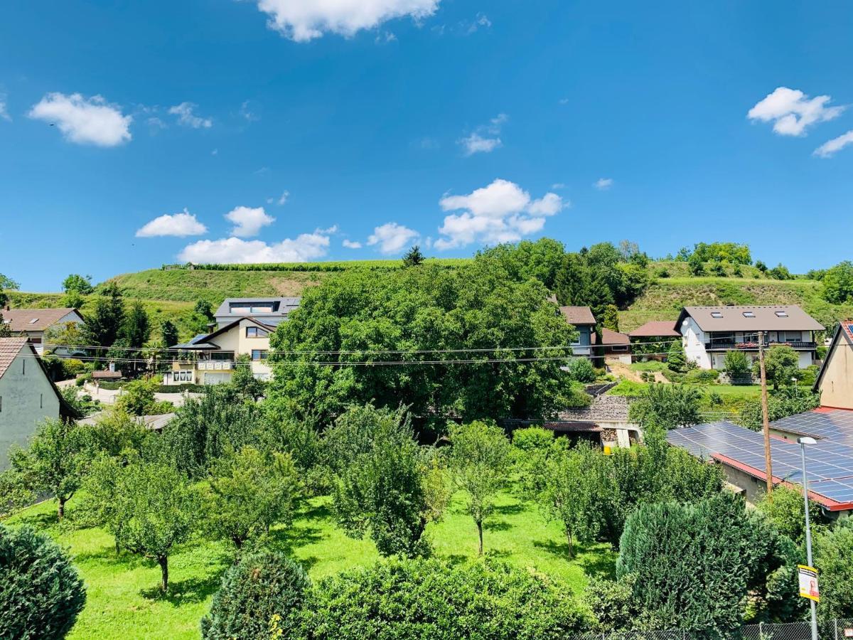 Ferienwohnung Liesel - Kuche, Bad, Wlan, 3 Schlafzimmer, Parkplatz Malterdingen Dış mekan fotoğraf